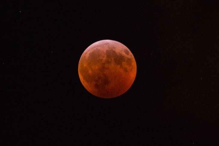 The Super Blood Wolf Moon Eclipse  over New York (Erik Pendzich/Shutterstock)